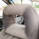 Illustration for article titled Pontiac Bonneville Photoshoot - Photo dump